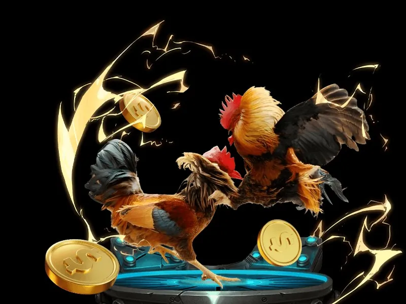 Thợ Săn Cá Rồng SUNWIN